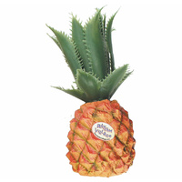 Rhythm Tech Pineapple Shaker