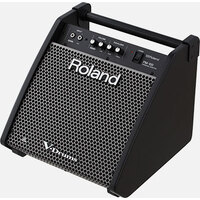 PM-100 Personal Monitor 80w 1x10 Drum Monitor