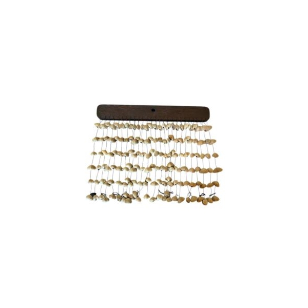 SAMBA CHIME CANAR SEEDS LARGE