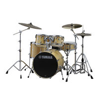STAGE CUSTOM BIRCH FUSION KIT IN NATURAL WOOD