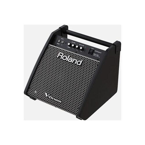 PM-100 Personal Monitor 80w 1x10 Drum Monitor