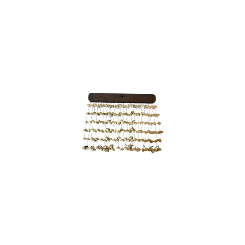 SAMBA CHIME CANAR SEEDS LARGE
