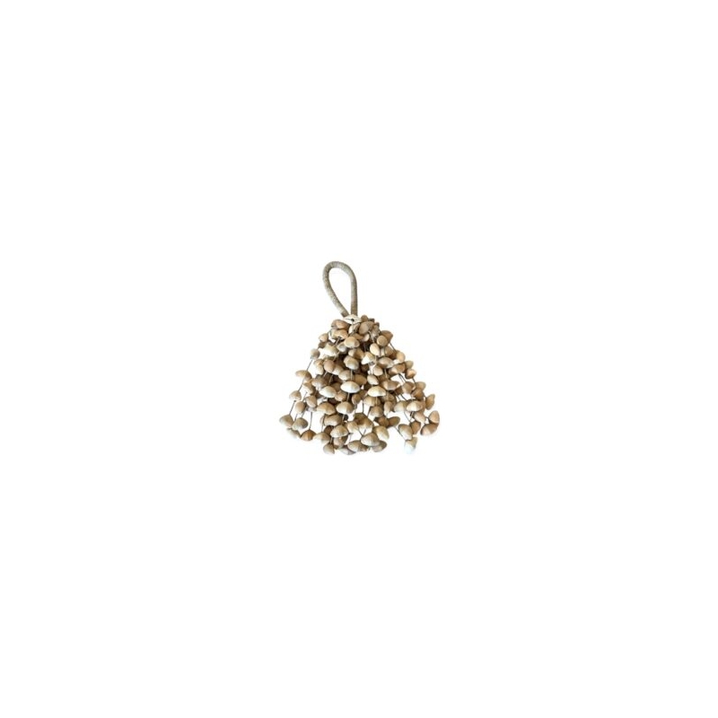 Kenari Nut Shaker Large